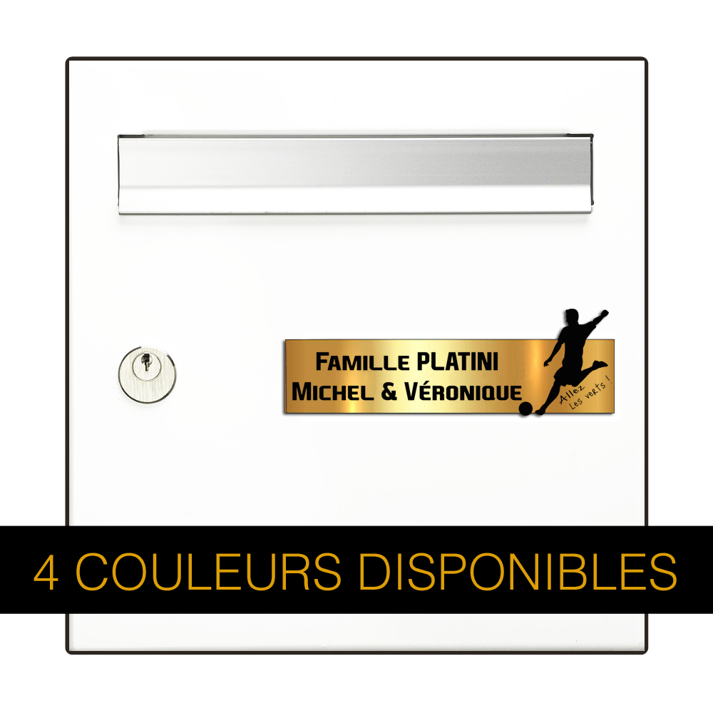 Engraving Original Letterbox Plate Football St Etienne 3D