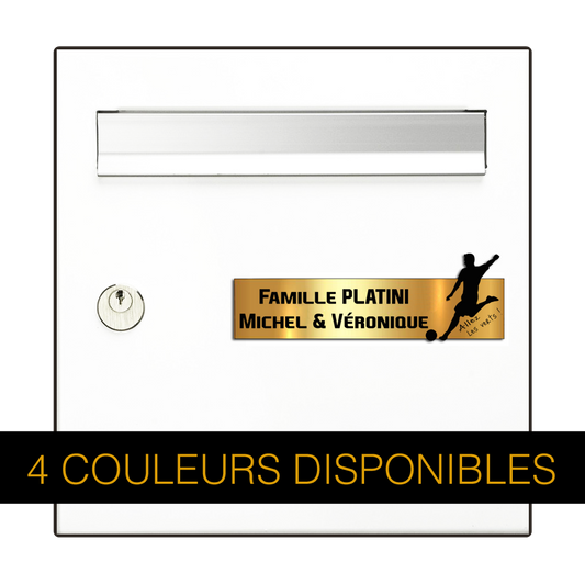 Engraving Original Letterbox Plate Football St Etienne 3D