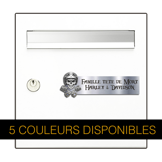 Engraving Original Letterbox Plate 3D Skull