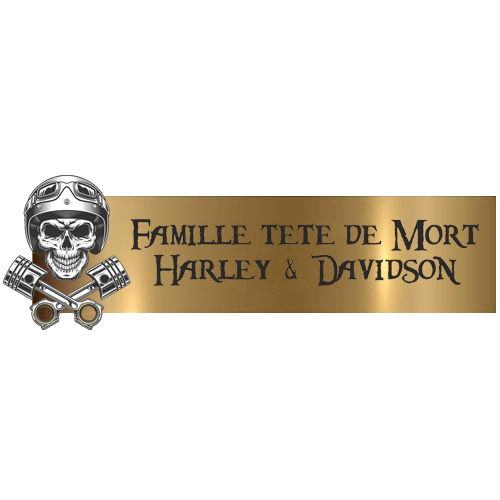 Engraving Original Letterbox Plate 3D Skull