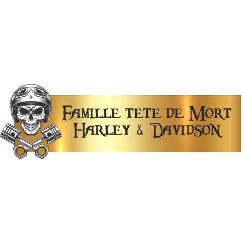 Engraving Original Letterbox Plate 3D Skull