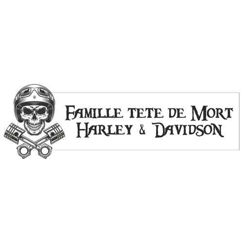 Engraving Original Letterbox Plate 3D Skull