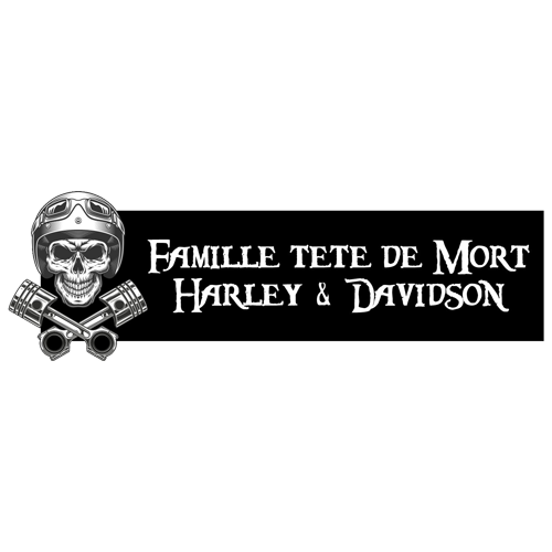 Engraving Original Letterbox Plate 3D Skull