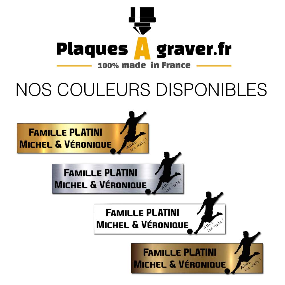 Engraving Original Letterbox Plate Football St Etienne 3D