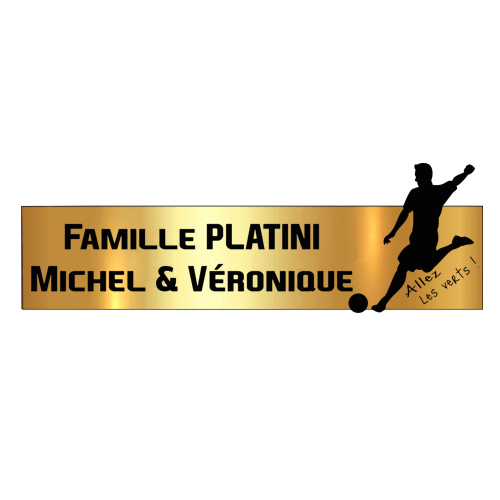 Engraving Original Letterbox Plate Football St Etienne 3D