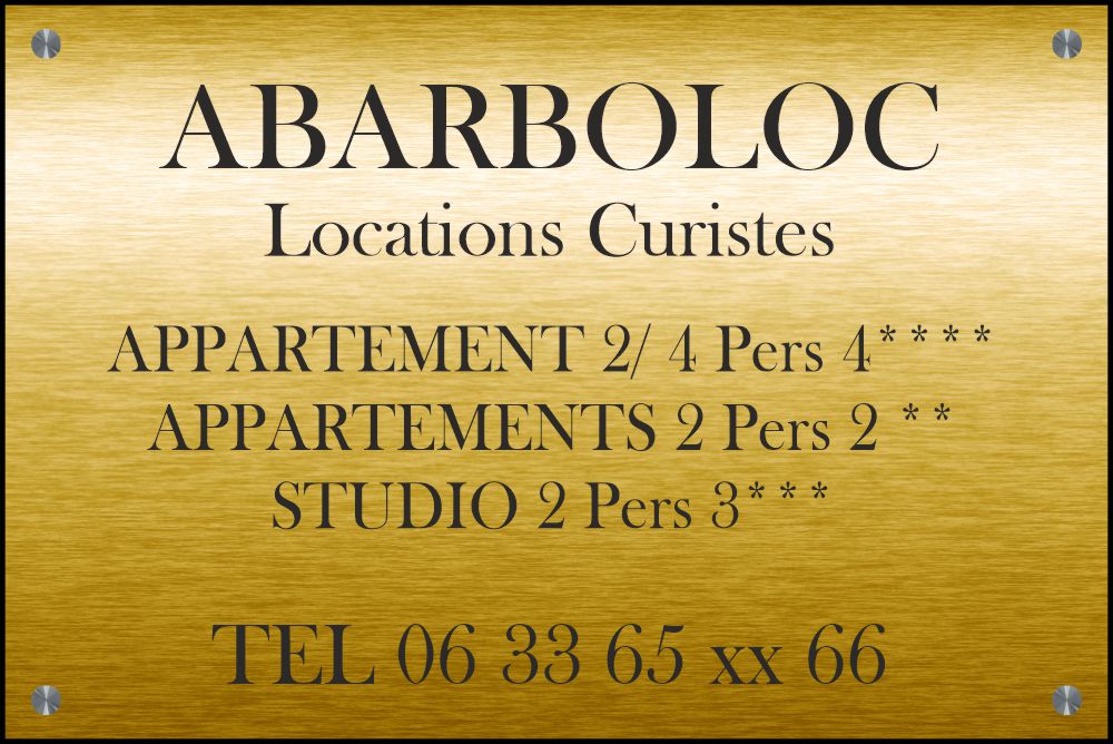 Plaque Professionnelle 300x200mm PVC 4mm Gravure & LOGO Noir + entretoises inox