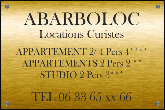 Plaque Professionnelle 300x200mm PVC 4mm Gravure & LOGO  Noir + entretoises inox