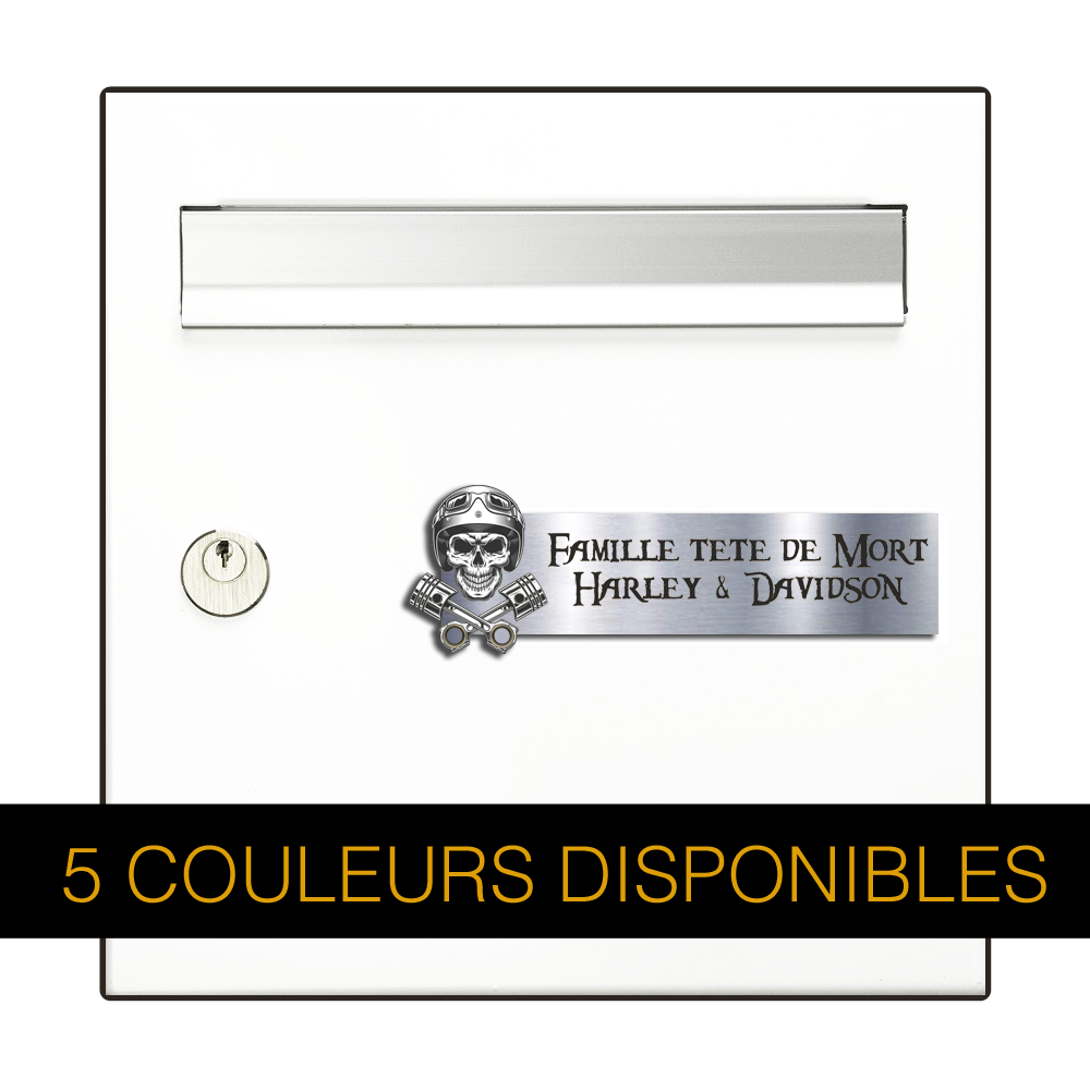 Engraving Original Letterbox Plate 3D Skull 