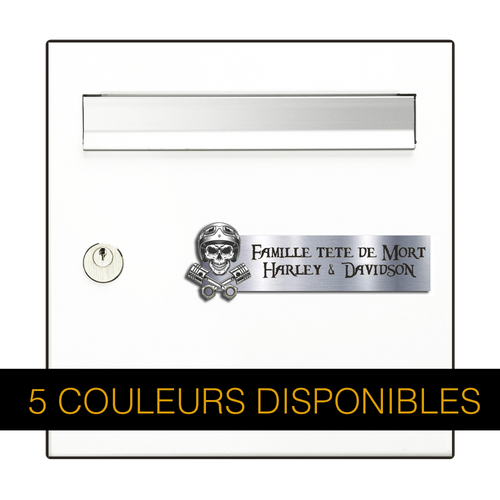 Plaque Boîte aux Lettres Tête de Mort Biker 3D - Gravure Personnalisée