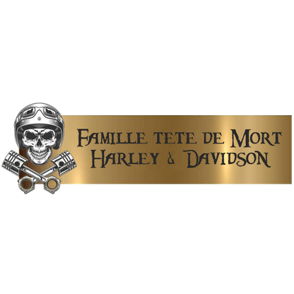 Engraving Original Letterbox Plate 3D Skull 