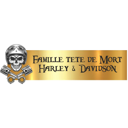 Engraving Original Letterbox Plate 3D Skull 