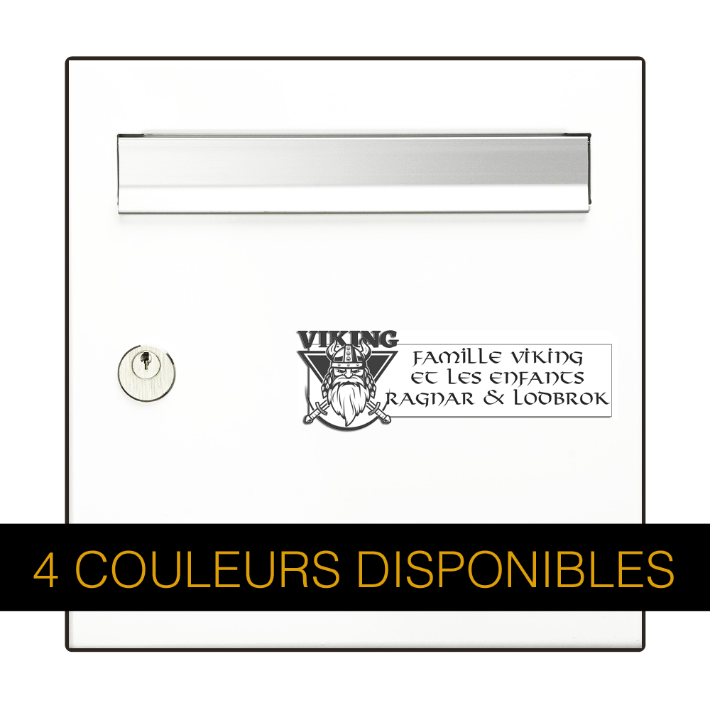 Gravure Plaque Boite aux Lettres Originale Viking 3D