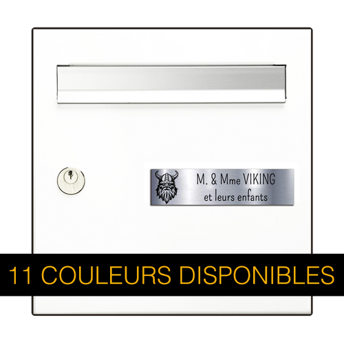 Plaque Boîte aux Lettres Viking 10x2,5 cm – Personnalisée et Adhésive