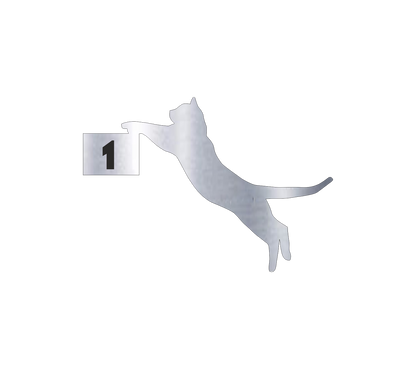 PVC Plate House Number Cat 3d "Putin" Adhesive 1.6mm Glossy Black