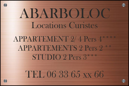 Plaque Professionnelle 300x200mm PVC 4mm Gravure & LOGO  Noir + entretoises inox
