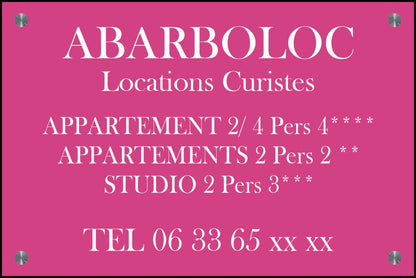 Plaque Professionnelle 300x200mm PVC 4mm Gravure & LOGO  Blanc + entretoises inox